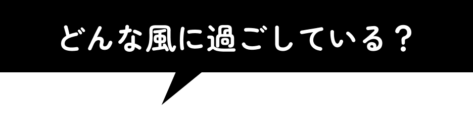 どんな風に過ごしている？